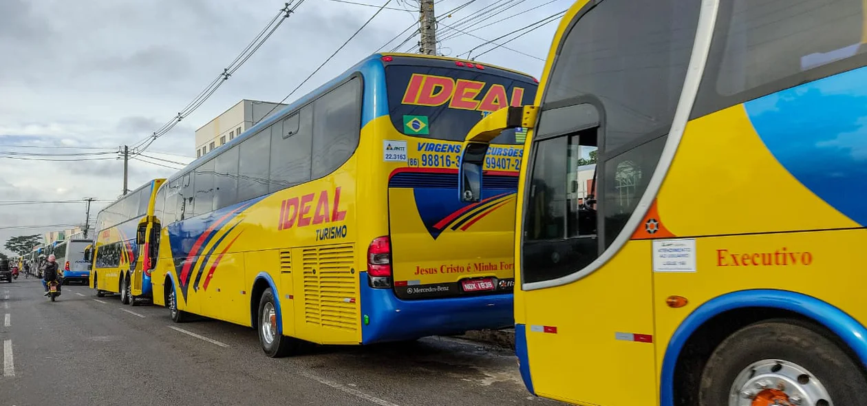 Ônibus de turismo enfileirados