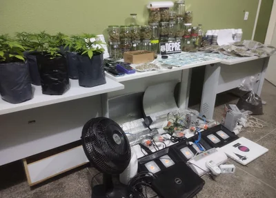 A apreensão ocorreu na tarde desta sexta