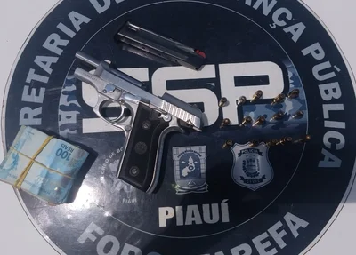 Arma apreendida pela Força Tarefa