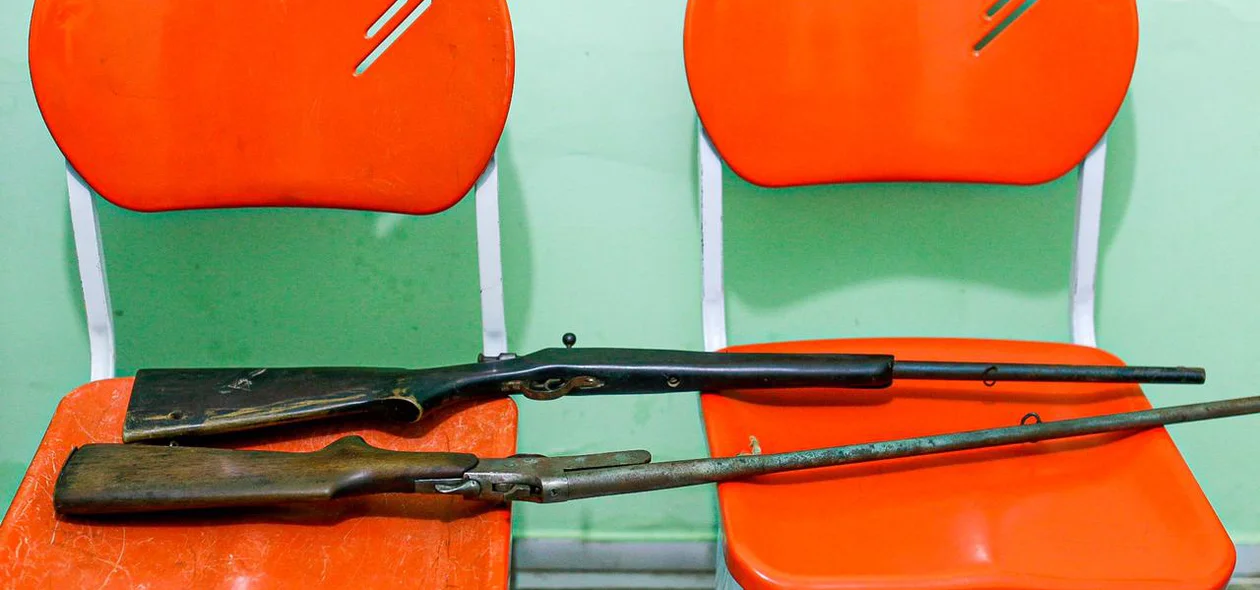 Armas de fogo apreendidas com o suspeito