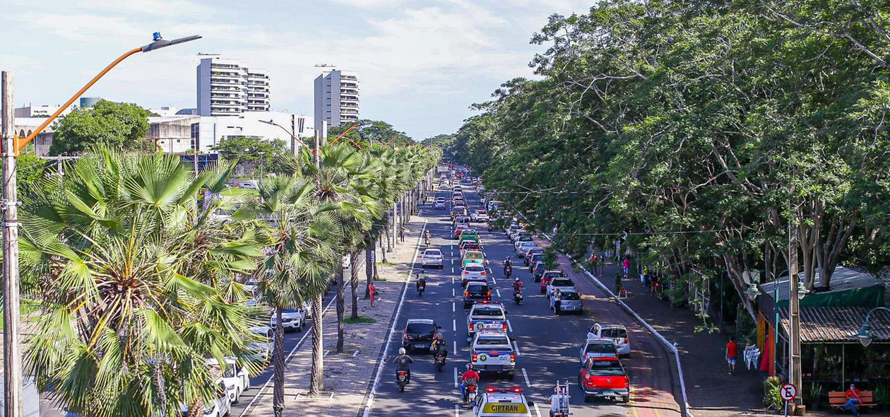 Fila de veículos no cortejo de Firmino Filho