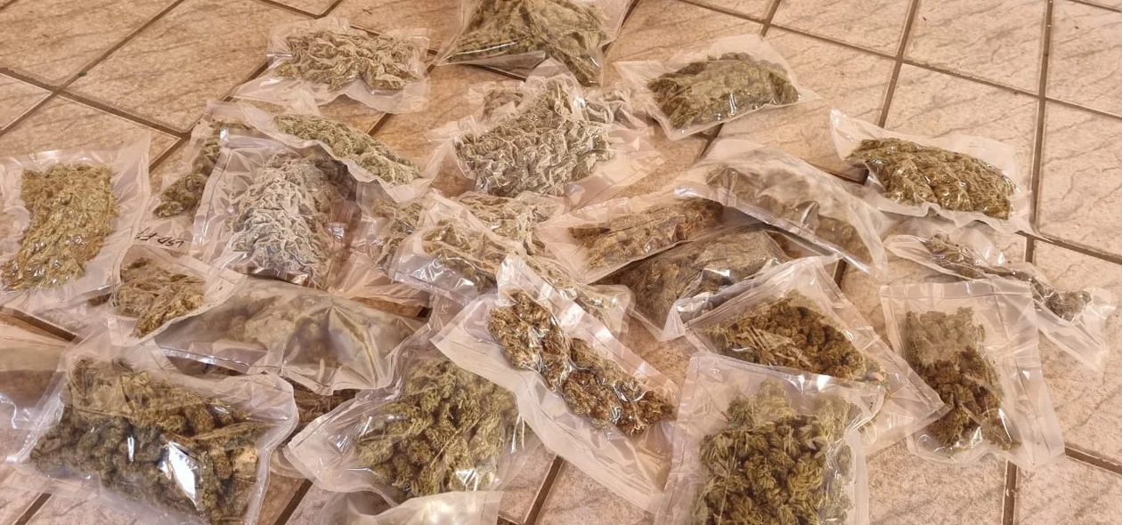 Filho de juiz é preso com drogas em Piripiri