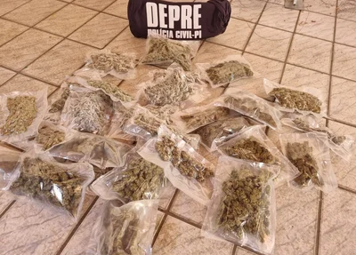 Filho de juiz é preso com drogas em Piripiri