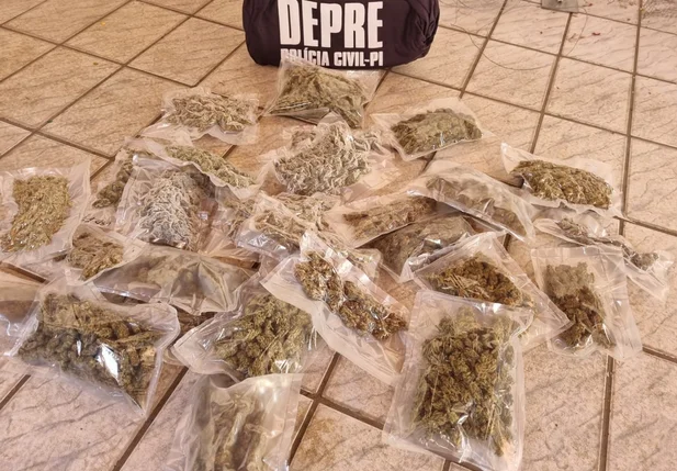 Filho de juiz é preso com drogas em Piripiri