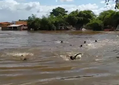 Jovem de 21 morre após queda de ponte no Maranhão