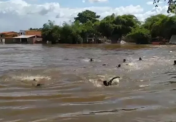 Jovem de 21 morre após queda de ponte no Maranhão