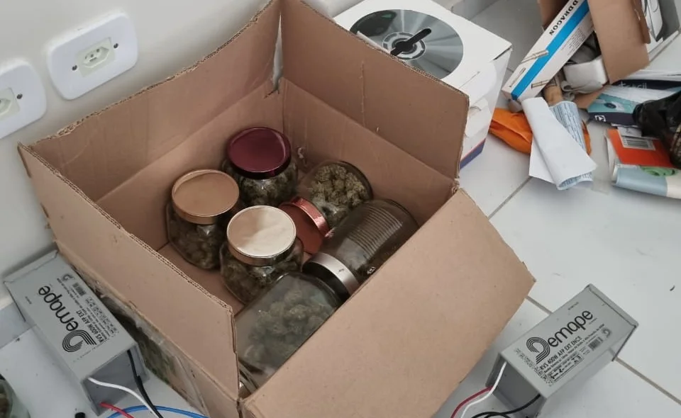 Maconha encontrada pelos policiais