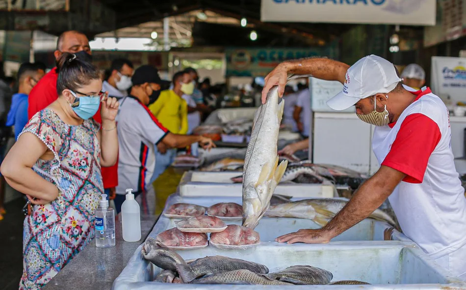 Movimentação no Mercado do Peixe