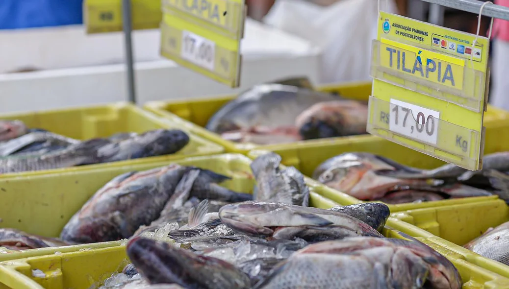 Peixes sendo comercializados no Mercado do Peixe em Teresina