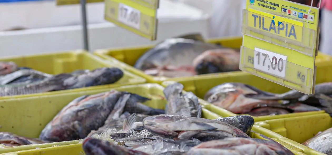 Peixes sendo comercializados no Mercado do Peixe em Teresina