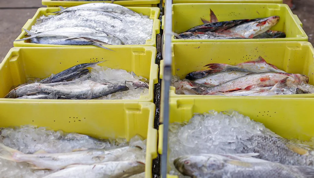 Peixes