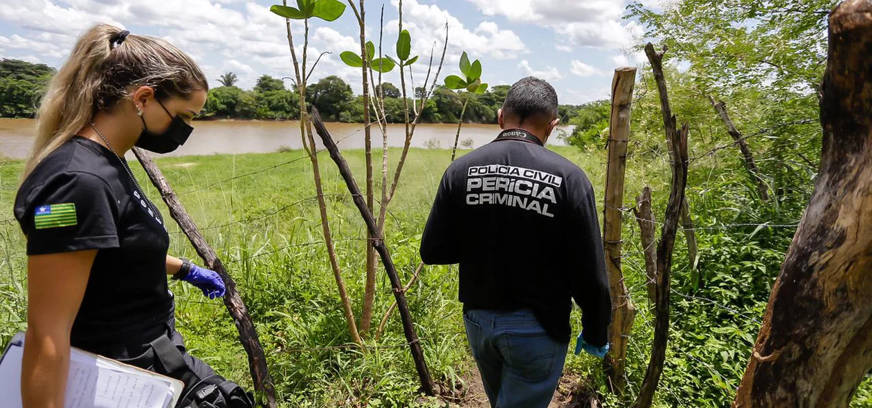 Peritos criminais
