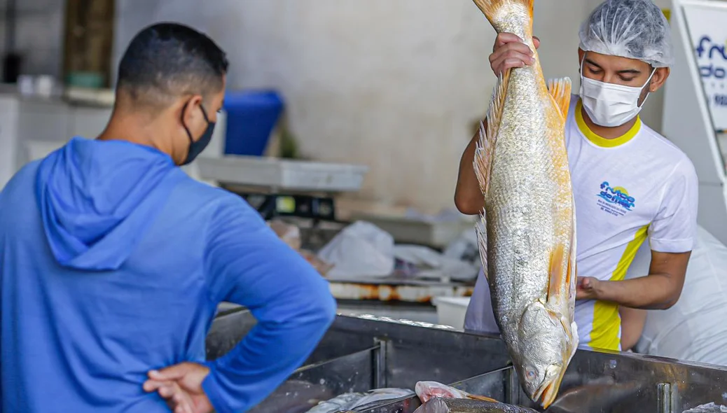 Venda de peixes no Mercado do Peixe