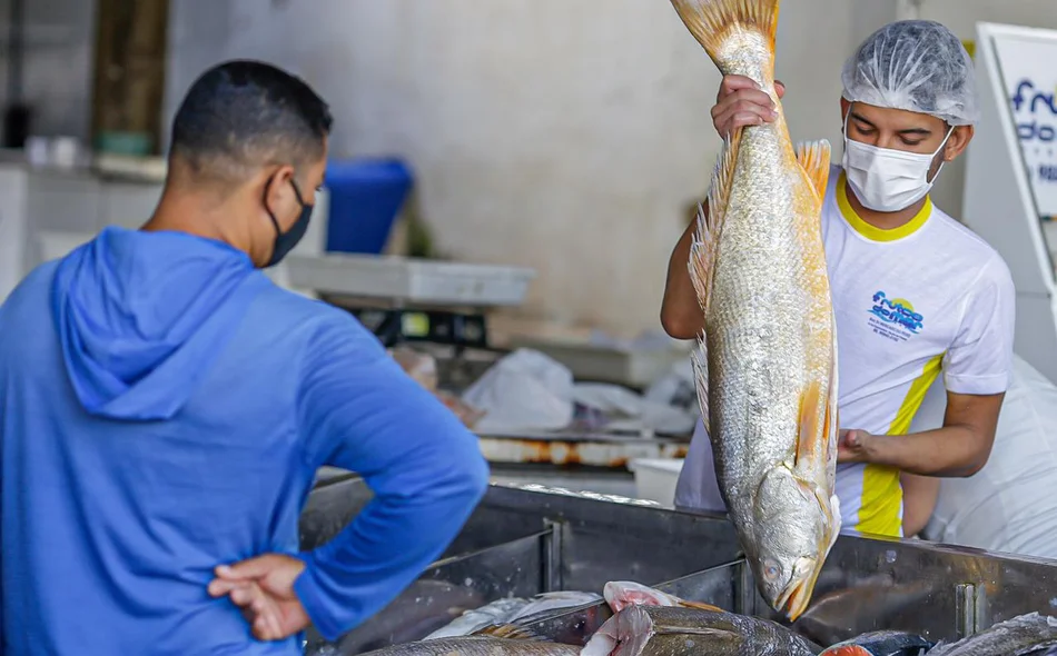 Venda de peixes no Mercado do Peixe