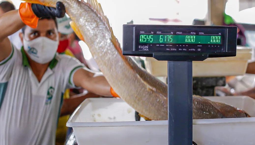 Vendedor no Mercado do Peixe