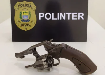 Arma de fogo apreendida