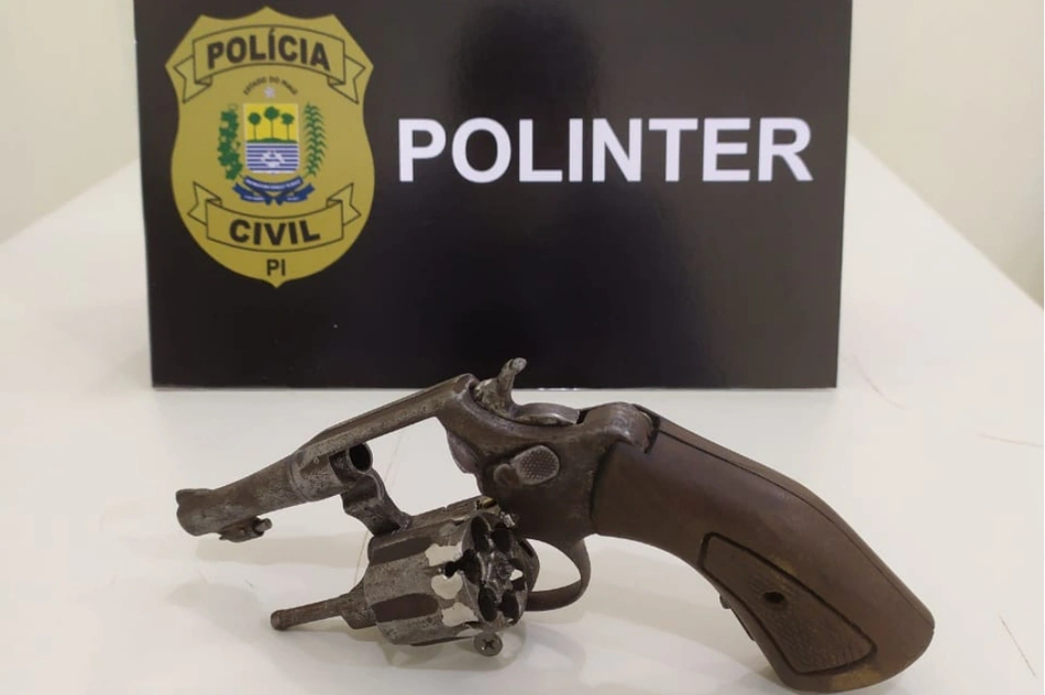 Arma de fogo apreendida