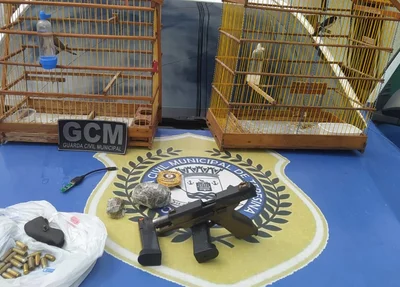 Arma recuperada pela GCM
