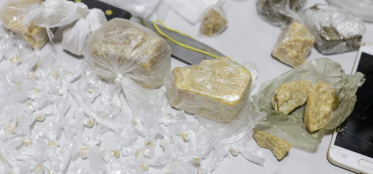 As drogas foram encontradas na zona sudeste de Teresina