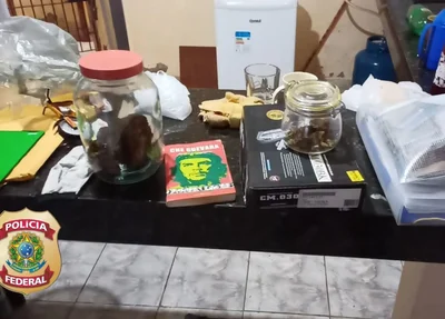 Droga apreendida