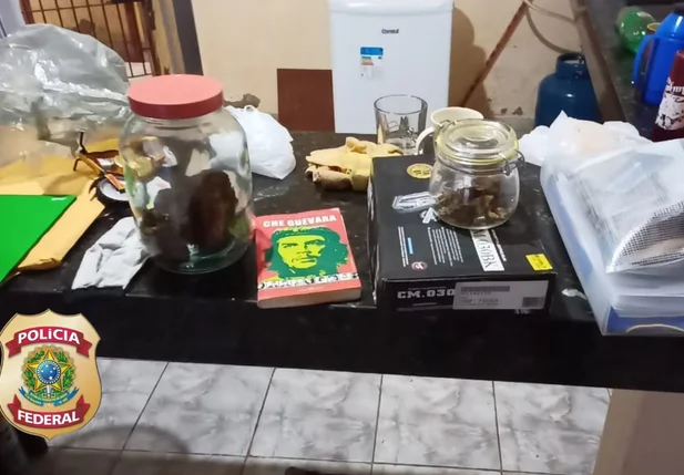 Droga apreendida