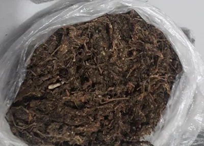 Drogas apreendidas em Teresina