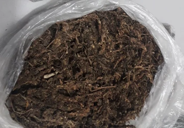 Drogas apreendidas em Teresina