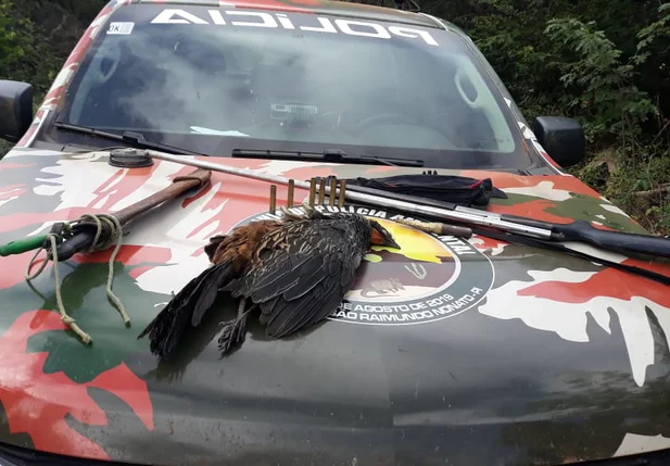 Equipamento para caça e ave Jacu apreendidos pela Polícia Militar
