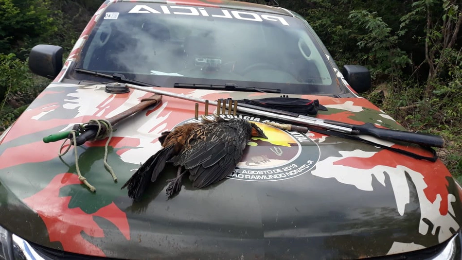 Equipamento para caça e ave Jacu apreendidos pela Polícia Militar