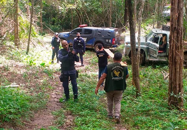 Fiscalização apreendendo madeira irregular em Timon