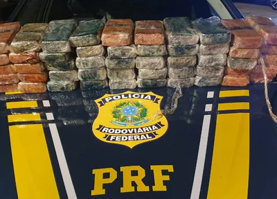 PRF apreende cocaína avaliada em R$ 6,5 milhões na BR 316 em Timon