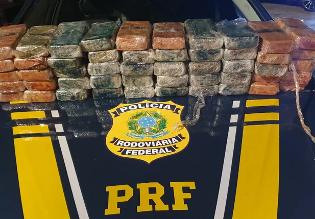 PRF apreende cocaína avaliada em R$ 6,5 milhões na BR 316 em Timon