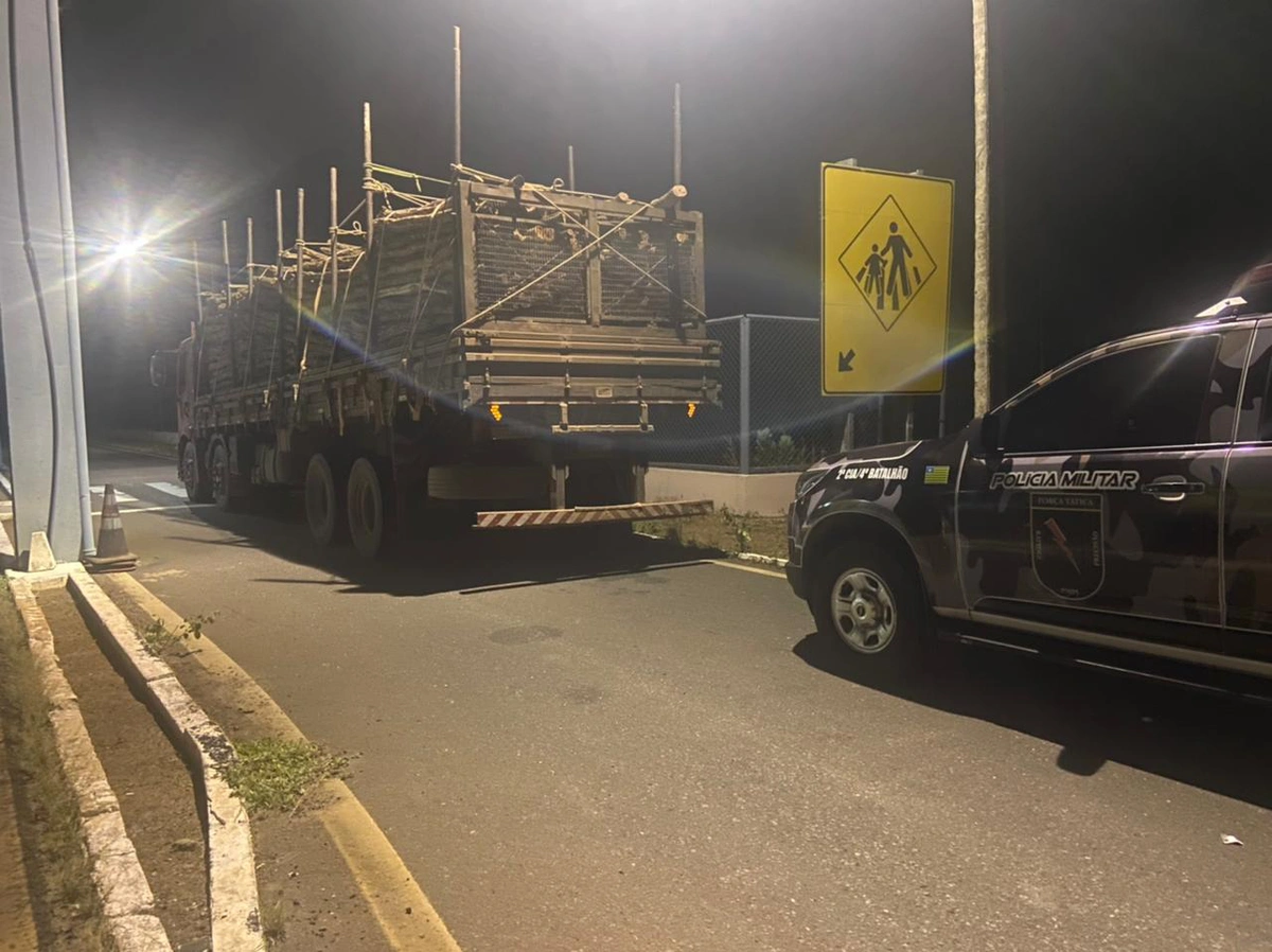 Caminhão com carga ilegal de madeiras