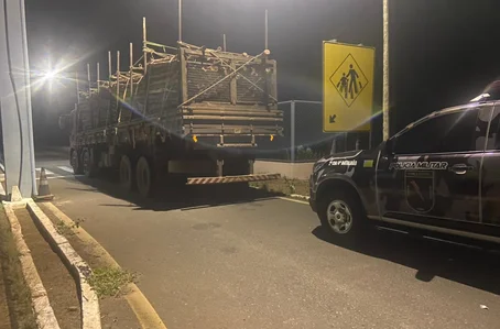 Caminhão com carga ilegal de madeiras