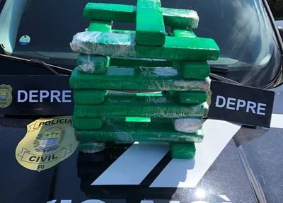 DEPRE apreende 17 tabletes de maconha dentro de ônibus em Bom Jesus