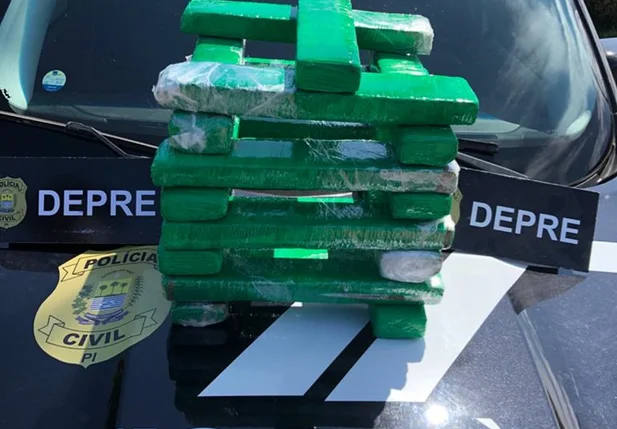 DEPRE apreende 17 tabletes de maconha dentro de ônibus em Bom Jesus