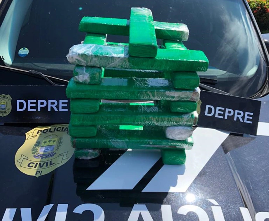 DEPRE apreende 17 tabletes de maconha dentro de ônibus em Bom Jesus
