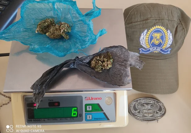 Droga apreendida na PI 459