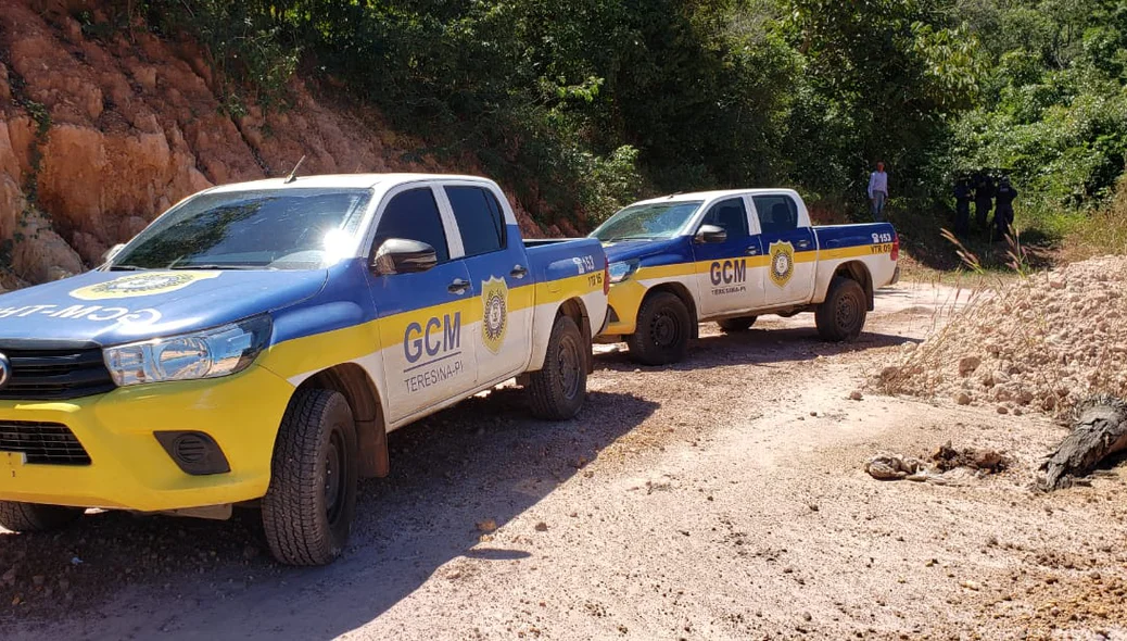 Guarda Municipal de Teresina atendeu a ocorrência
