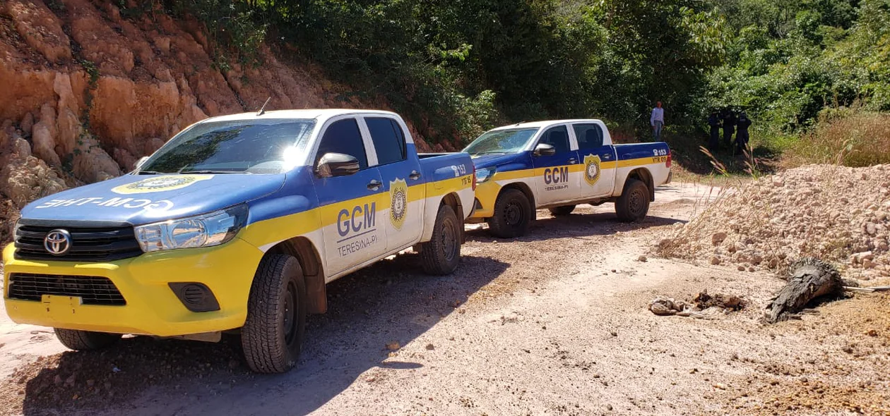 Guarda Municipal de Teresina atendeu a ocorrência