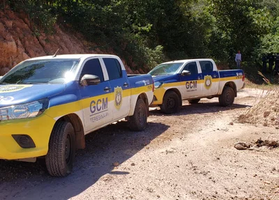 Guarda Municipal de Teresina atendeu a ocorrência
