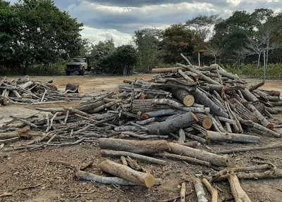 Local onde ocorria crime ambiental