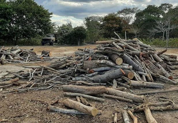 Local onde ocorria crime ambiental