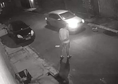 Motorista atropelando o gato