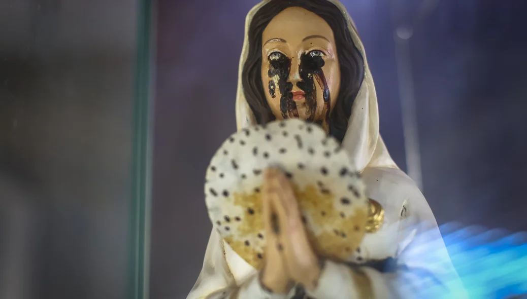Nossa Senhora Rosa Mística