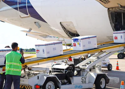 O lote chegou em Teresina e será encaminhado aos municípios