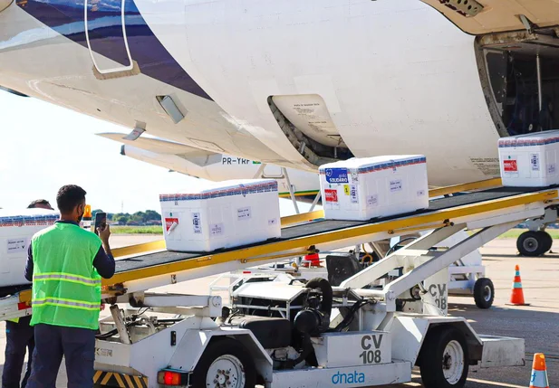 O lote chegou em Teresina e será encaminhado aos municípios