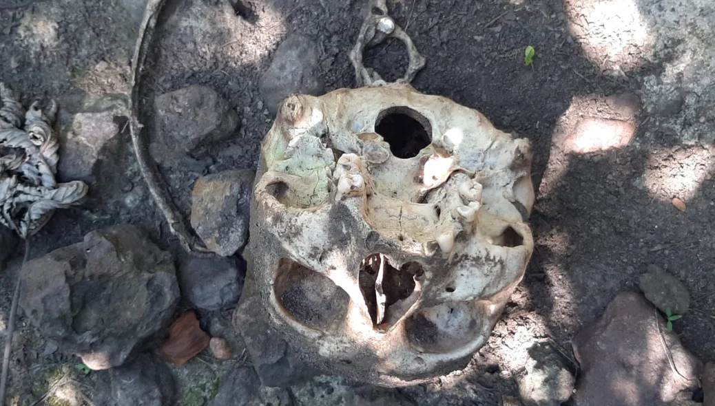 Ossada humana encontrada em matagal próxima ao Rodoanel de Teresina