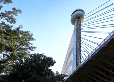 Ponte Estaiada