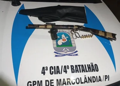 Rifle apreendido em Serra da Baixa, Marcolândia